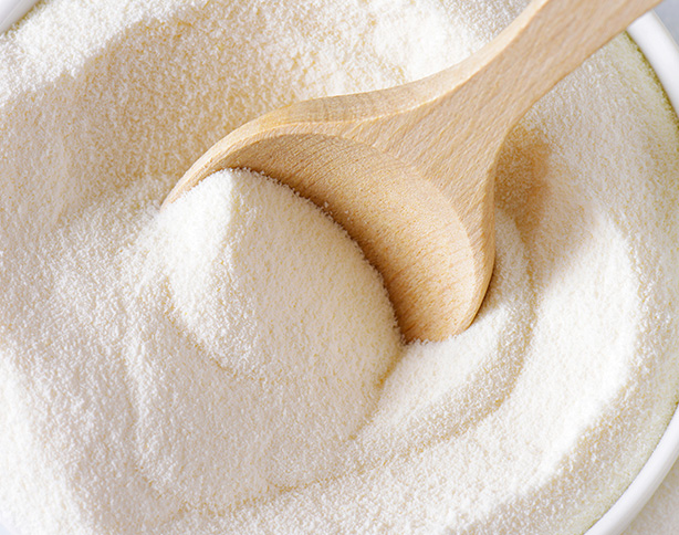 latte in polvere per gelato per professionisti